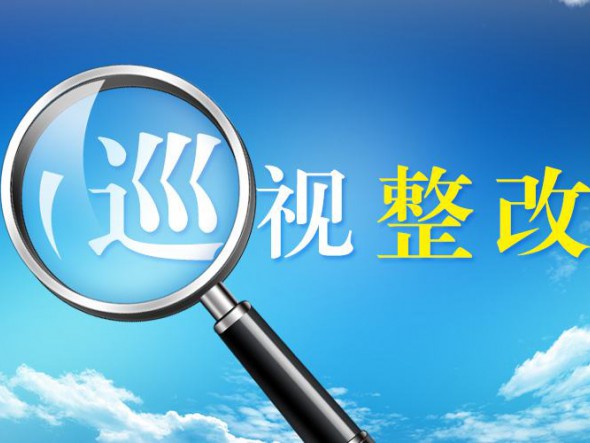 中共甘肃演艺集团有限责任公司委员会关于巡视整改进展情况的通报