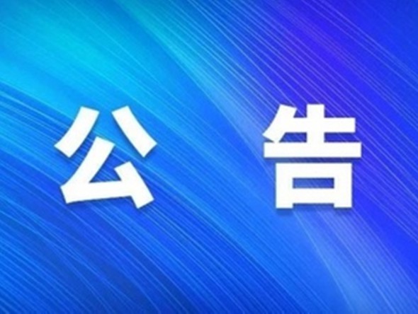 招标代理机构遴选结果公告